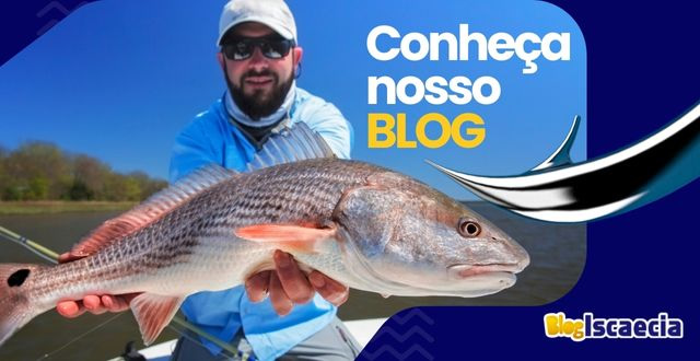 blog iscaecia