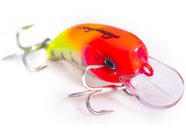 Isca Xodó 45 by Nelson Nakamura