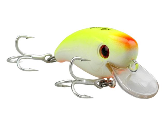 Isca Xodó 45 by Nelson Nakamura