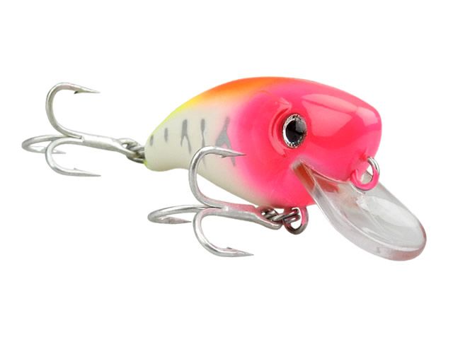 Isca Xodó 45 by Nelson Nakamura