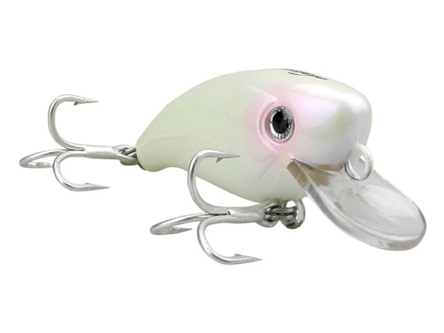 Isca Xodó 45 by Nelson Nakamura