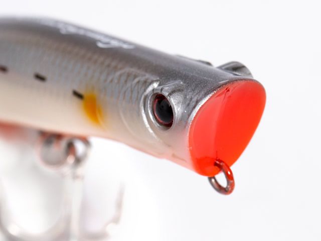 Isca Zap 120 by Nelson Nakamura