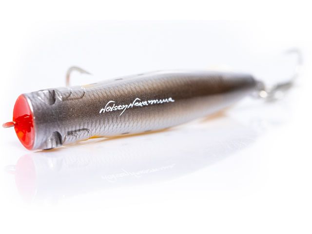 Isca Zap 120 by Nelson Nakamura