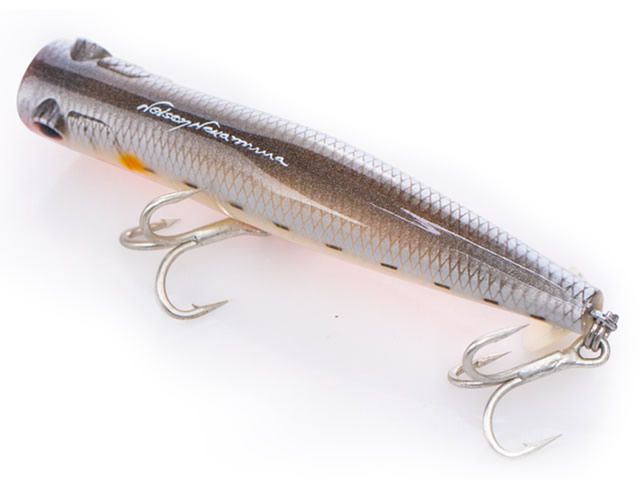 Isca Zap 120 by Nelson Nakamura