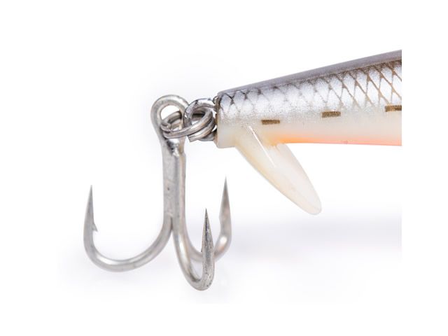 Isca Zap 120 by Nelson Nakamura