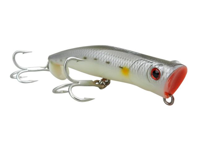 Isca Zap 120 by Nelson Nakamura