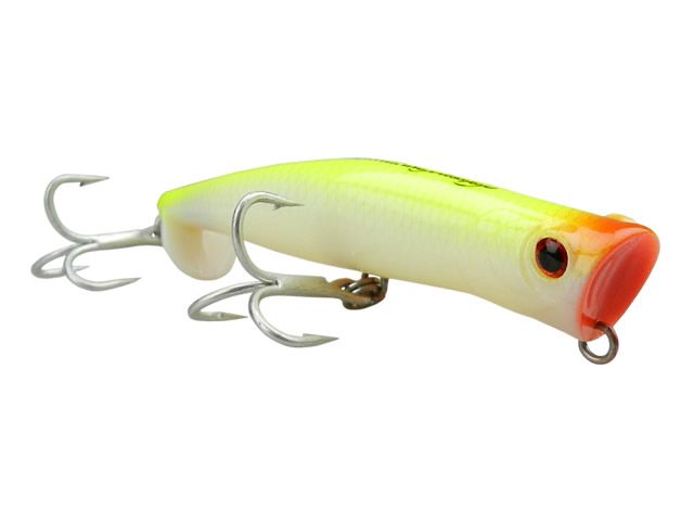 Isca Zap 120 by Nelson Nakamura