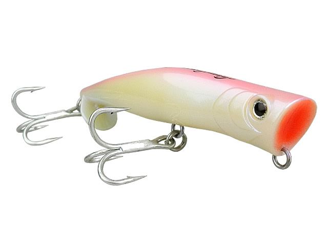 Isca Zap 120 by Nelson Nakamura