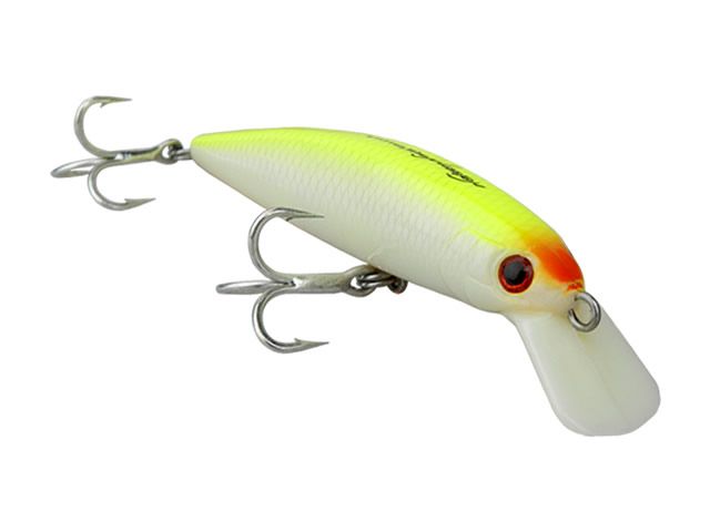 Isca Nelson Nakamura Marrenta 110