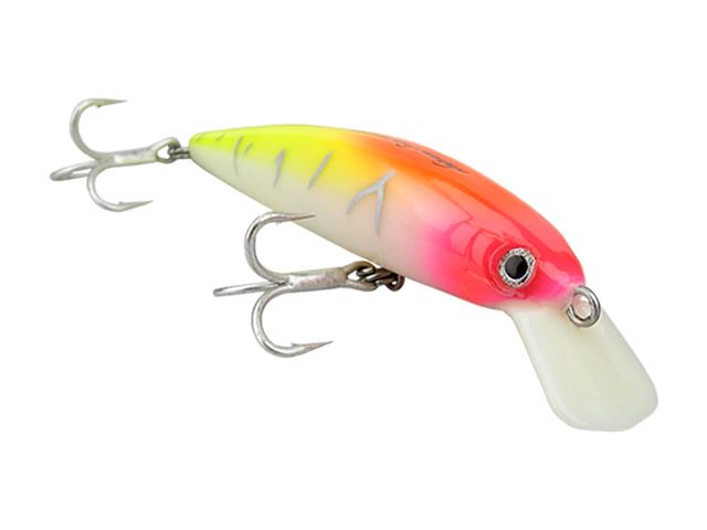 Isca Nelson Nakamura Marrenta 110