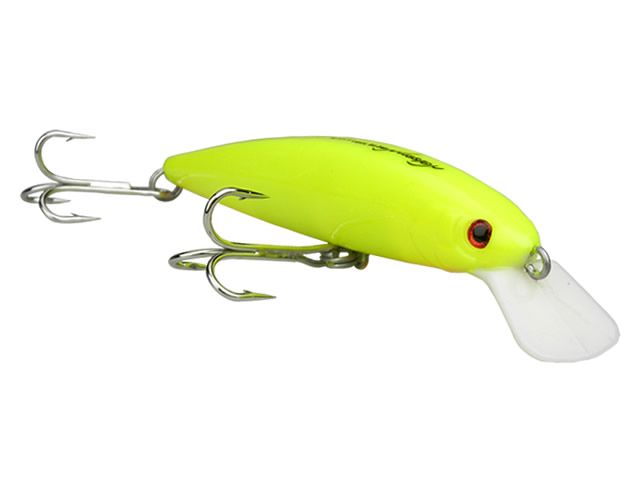 Isca Nelson Nakamura Marrenta 110