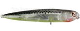 Imagem Cor 25 T1000
