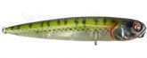 Imagem Cor 28 Bluegill