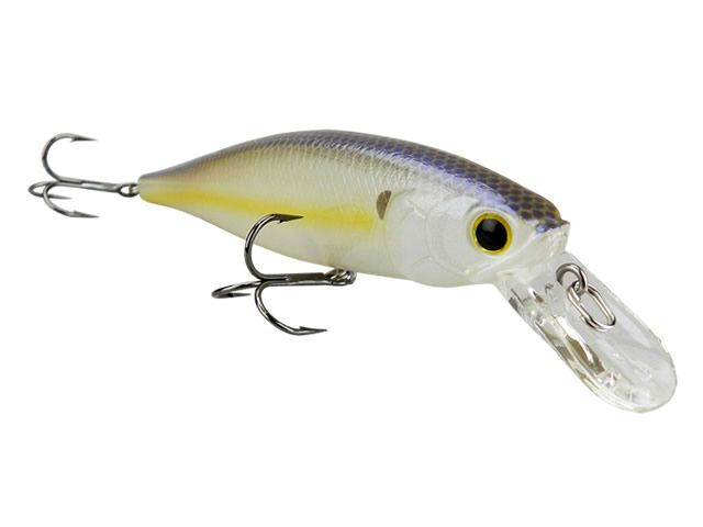 Isca Lucky Craft Pointer 100 SP
