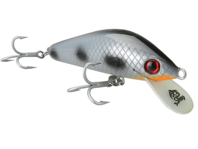 Isca Strey Sabre Evo 80