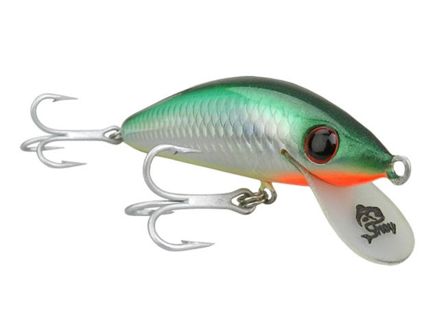 Isca Strey Sabre Evo 80