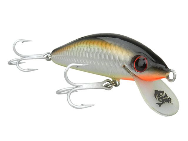 Isca Strey Sabre Evo 80