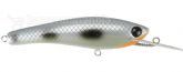 Imagem Cod. 17220 - Piau