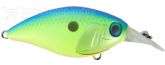 Imagem Blueback Chartreuse