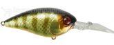 Imagem SK Champagne Gold Gill