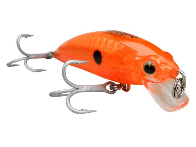 Isca Marine Sports Inna Pro Tuned 60