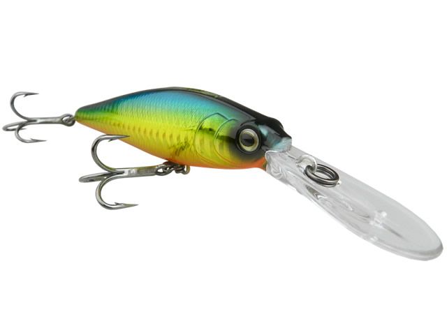 Isca Marine Sports Shiner King 100DR