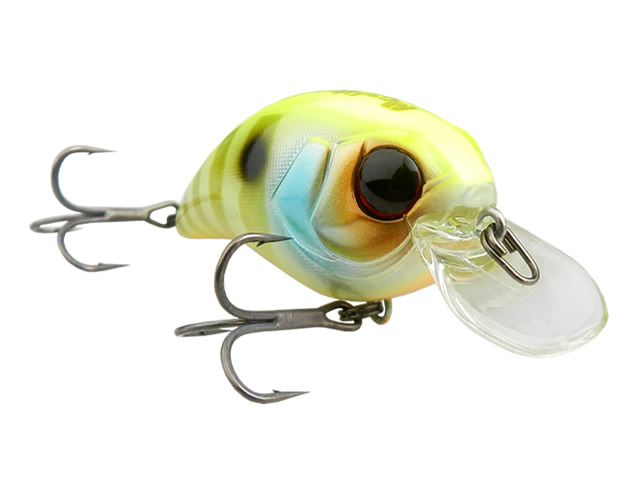 Isca Jackall Mushbob 50SR