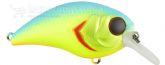 Imagem Light Blueback Chartreuse