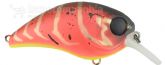 Imagem Spice Red Craw