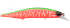 Imagem ACC3338 Dragon Fruit Tiger