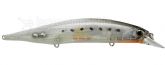 Imagem DEA0493 - Whitebait