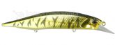 Imagem  ASAZ399 Gunmental M gold Tiger