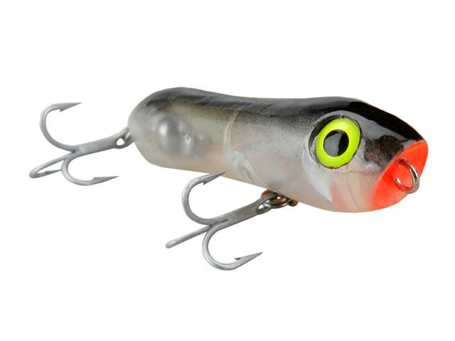 Isca KV Small Jr