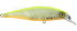 Imagem Chartback Clear Orange Belly
