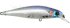 Imagem Clear Fish