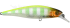 Imagem Pol Chartreuse Back Bluegill