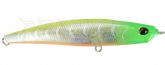 Imagem CEA0737 Lime Head Clear Gigo