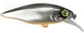 Imagem Silver Orange Belly