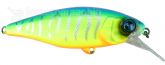 Imagem BlueBack Tiger