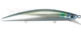 Imagem CYA0697 Gizzard Mullet