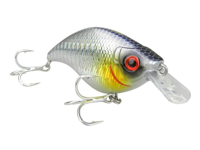 Isca Crown Joy 60