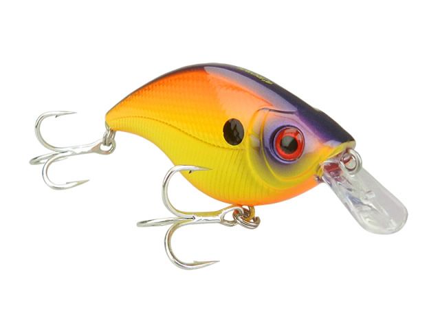 Isca Crown Joy 60
