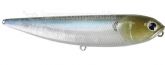 Imagem 238 Ghost Minnow