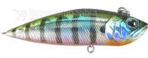 Imagem 630V - Astro Minnow