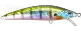 Imagem 630V - Astro Minnow