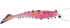 Imagem Pink