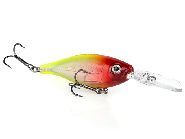 Isca Albatroz Deep King 80