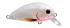 Imagem RED PEARL (RDP)