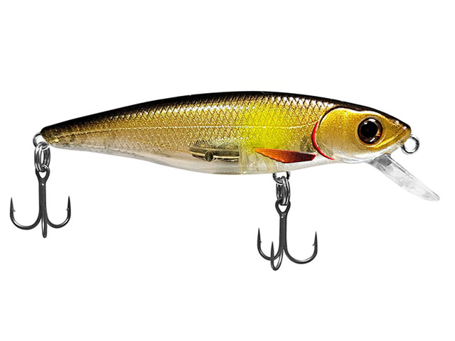 Isca Deconto Belly Dancer 66 SF