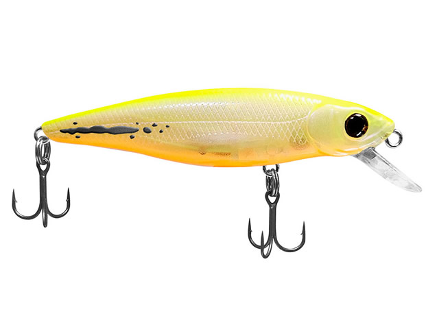 Isca Deconto Belly Dancer 77 SS